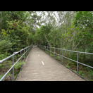 In sumpfigen Abschnitten ist der Fernleigh Track aufgeständert